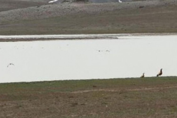 Otomasyon yaptırılacak