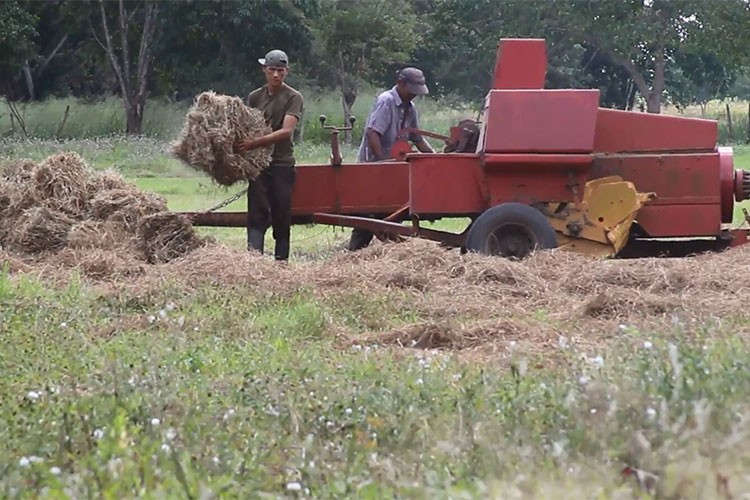 Venezuela'da ekili tarım arazileri 13 yılda yüzde 46 azaldı