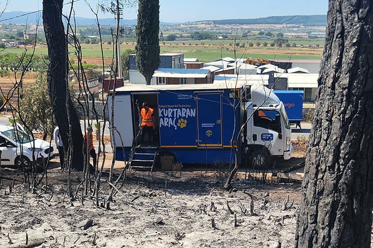 Anadolu Sigorta'dan kurtaran müdahale