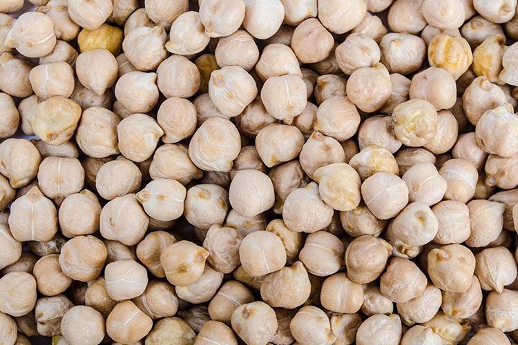 Nohutluk tohum satışı