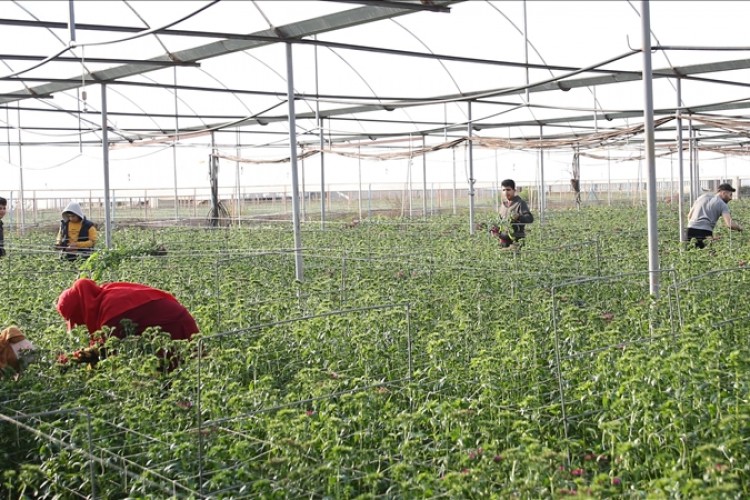 Çiftçiler karbon ayak izini hesaplıyor