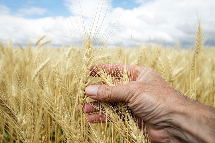 Hibelerle 6 milyar liralık yatırım yapıldı