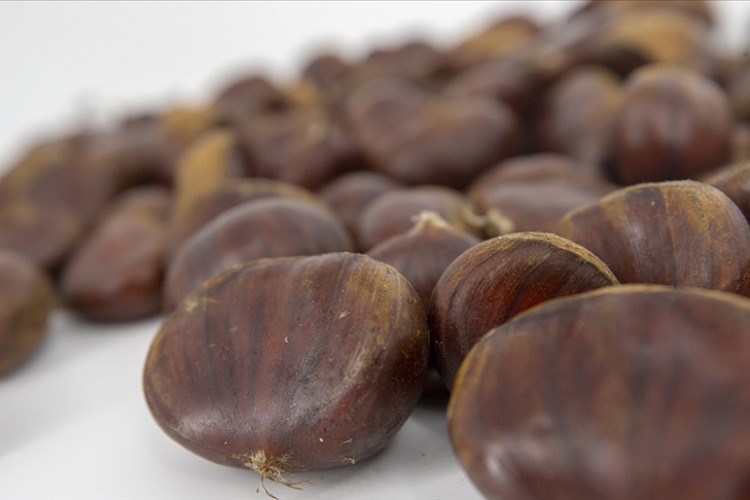 Kestane ithalatı gözetim uygulaması kapsamına alındı