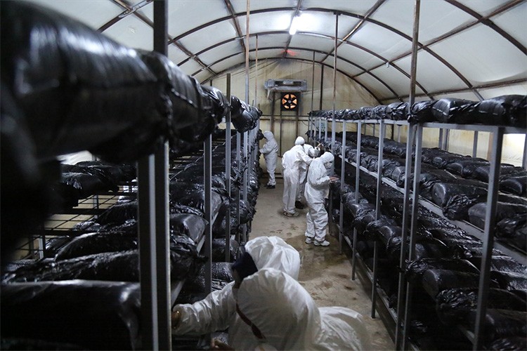 48 kadın kooperatifi bir yılda 142 milyon lira ciro yaptı