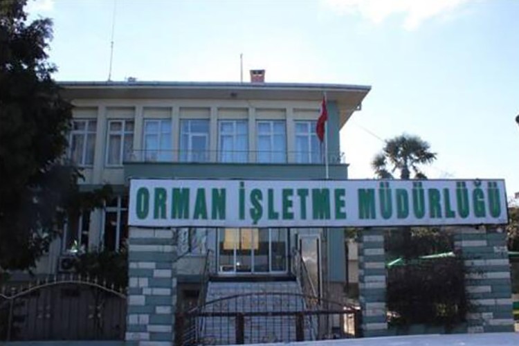 Orman yolu yaptarılacak