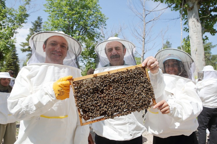 Arıları Yaşat, Geleceğini Kazan Projesi ile gençler meslek sahibi olacak
