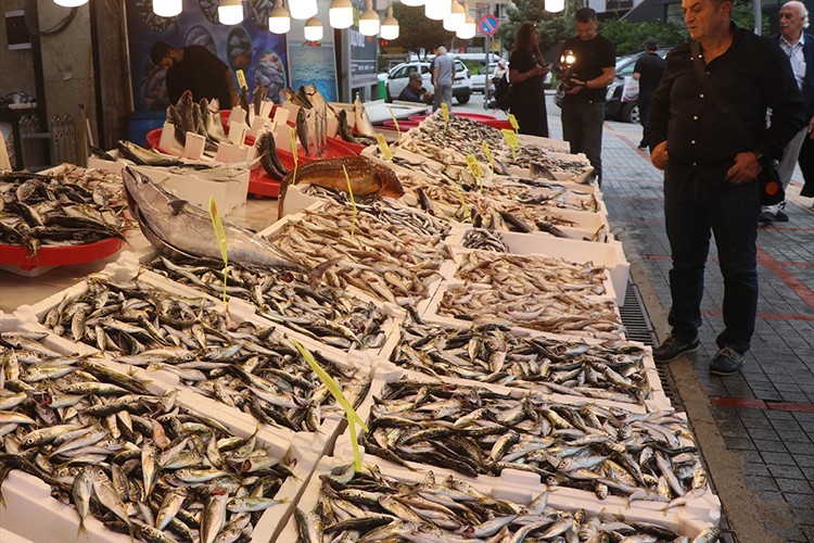 Rize'de balıkçı tezgahlarında bolluk yaşanıyor