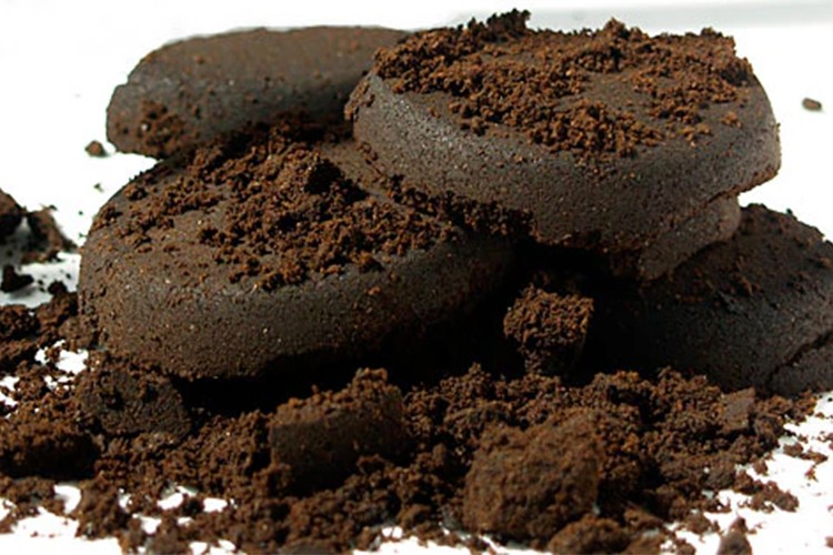 964 kilo kahve posasını döngüsel ekonomiye kazandırdı