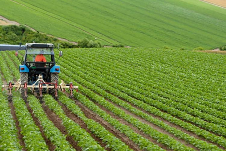 Tarım ve ormanda yeni düzenleme