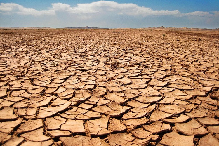 Kuraklığın olumsuz etkileri sulamada otomasyonla azaltılacak