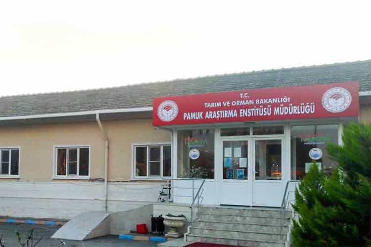 Pamuk satılacak