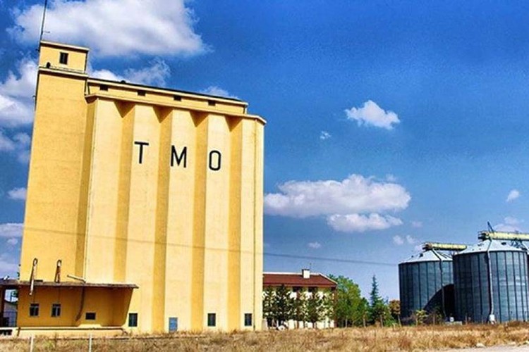 3,5 milyon ton buğday, 1,5 milyon ton mısır alması öngörülüyor