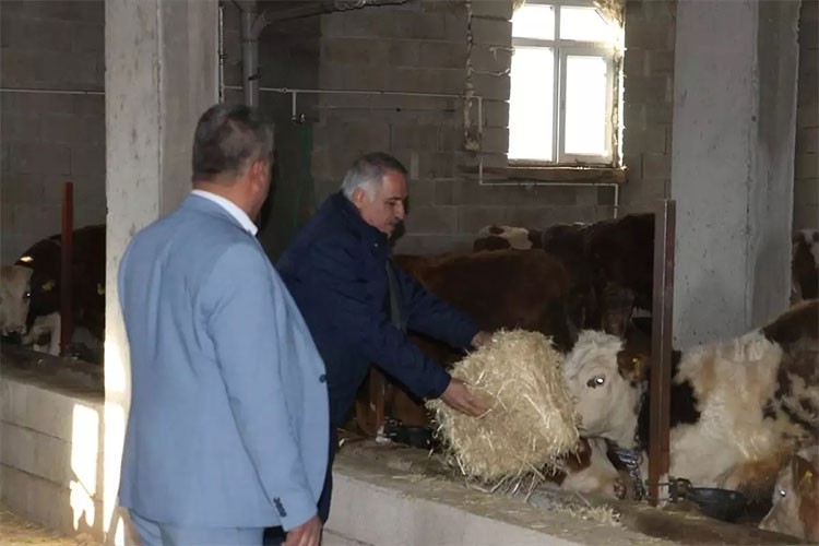 Talas'ta çiftçilere ücretsiz eğitim programı