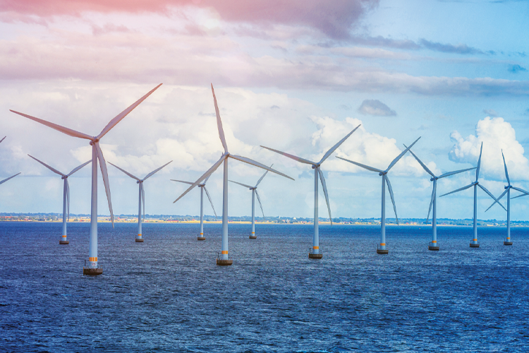 SHURA ve TÜREB'den "deniz üstü rüzgar enerjisi ihaleleri" raporu