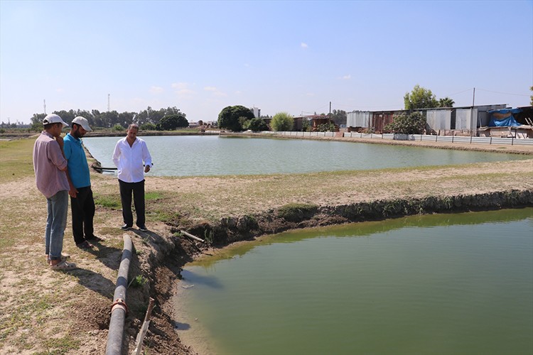 Akvaryum merakıyla başladığı balık yetiştiriciliğinde yıllık 2 milyon üretime ulaştı
