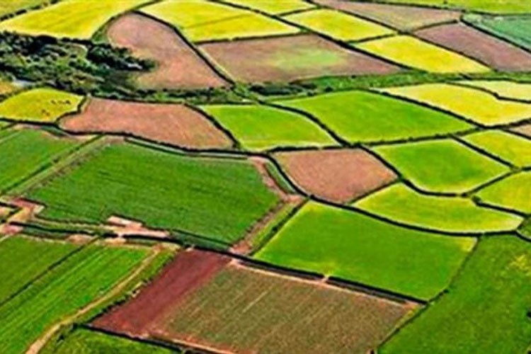 Ankara ve Eskişehir'de toplulaştırma yapılacak