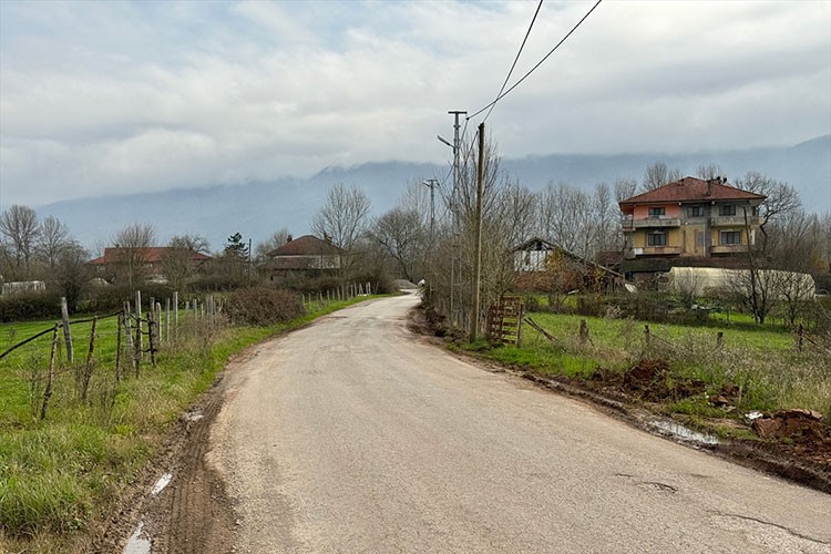 Bartın'da 12 köyde şap karantinası başlatıldı