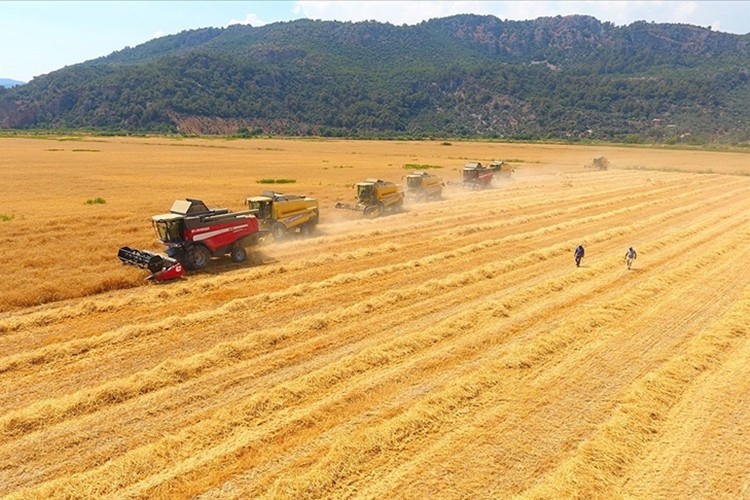 Tarımsal girdi fiyatları yüzde 1,64 arttı