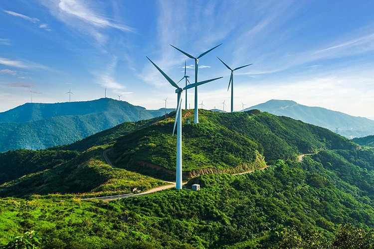 Küresel rüzgar enerjisi planları yetersiz kalıyor