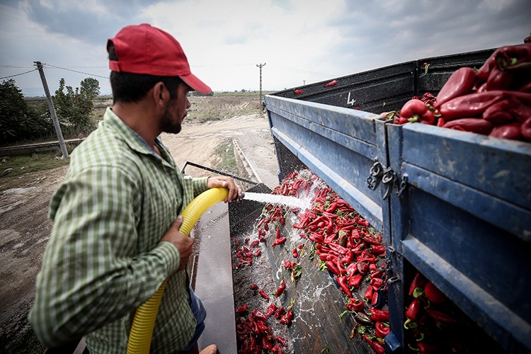 Fiyatlar yüz güldürüyor