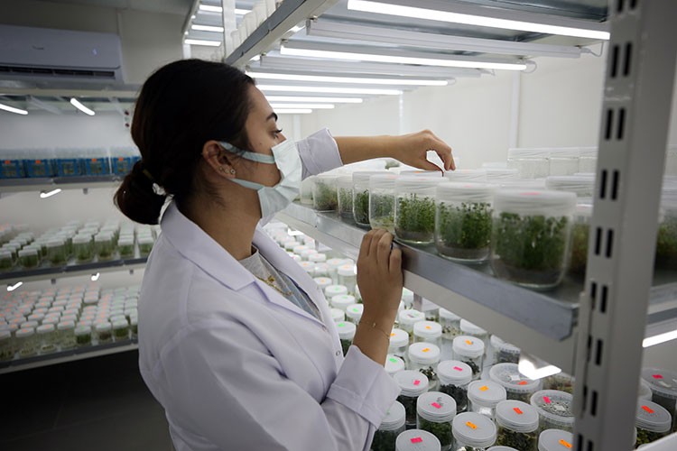 Tarımsal üretimin "doku"sunu çıkaracak merkez ilk ürünlerini verdi