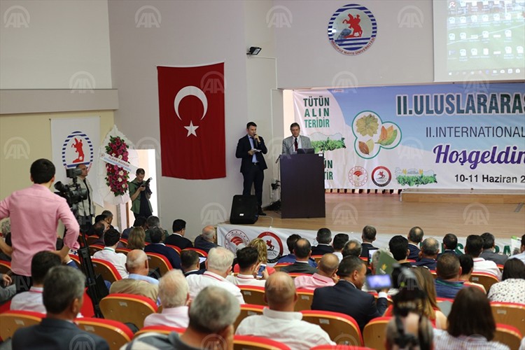 Tütünün geleceği karamsar