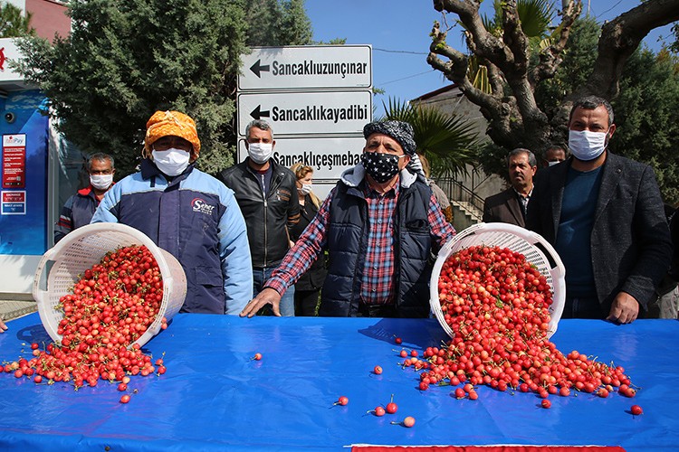 Sezonun ilk kirazı 400 TL