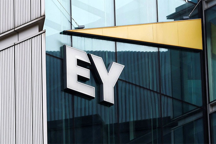 EY 2024 Küresel Kurumsal Raporlama Araştırması yayımlandı
