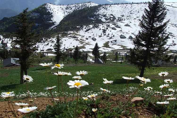 22 Nisan "Uluslararası Toprak Ana Günü"