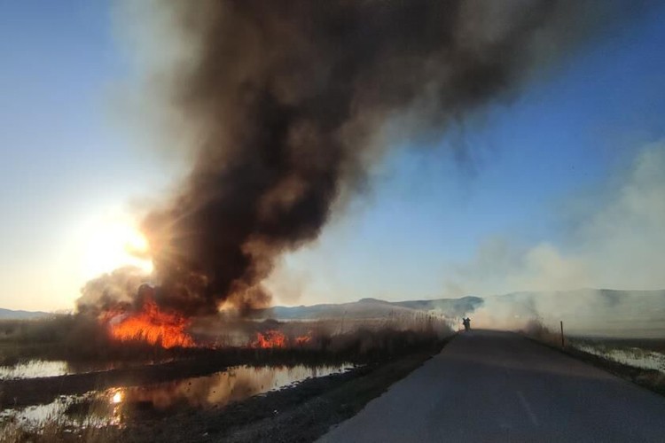 Van Gölü için acil önlem çağrısı