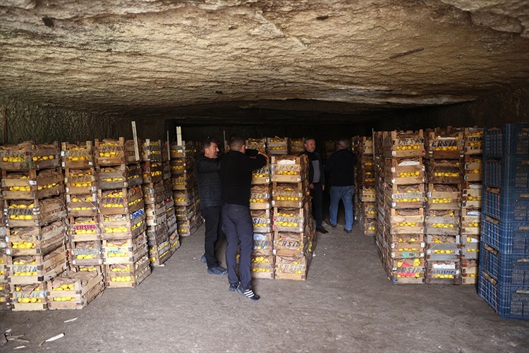 Mağaralar "yatak limon"a kıvam ve aroma kazandırıyor