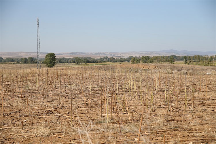 Çiftçilere "toprak işlemesiz tarım" yöntemine geçilmesi önerisi
