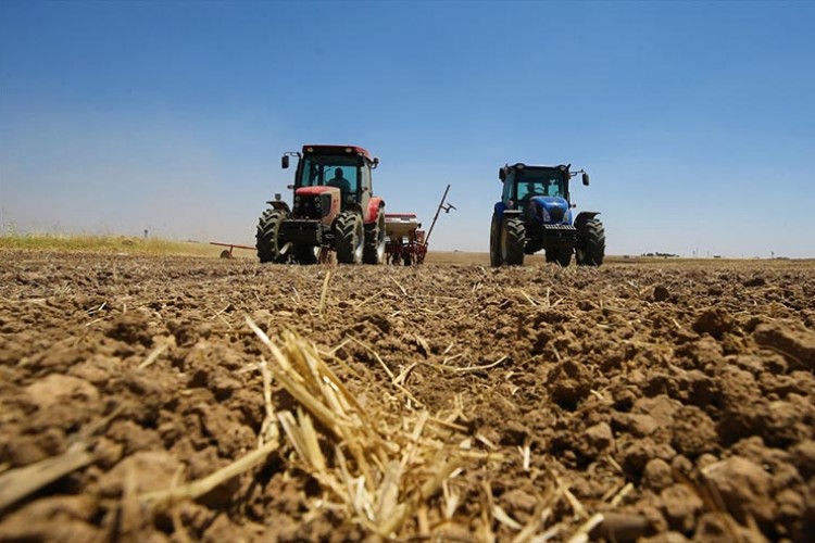 Bereketli topraklarda mısır ekimi başladı