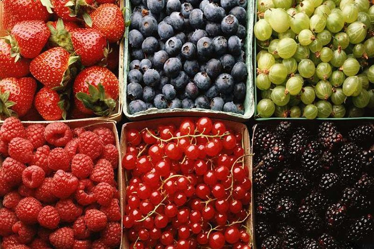 En fazla Ukrayna'ya sattık