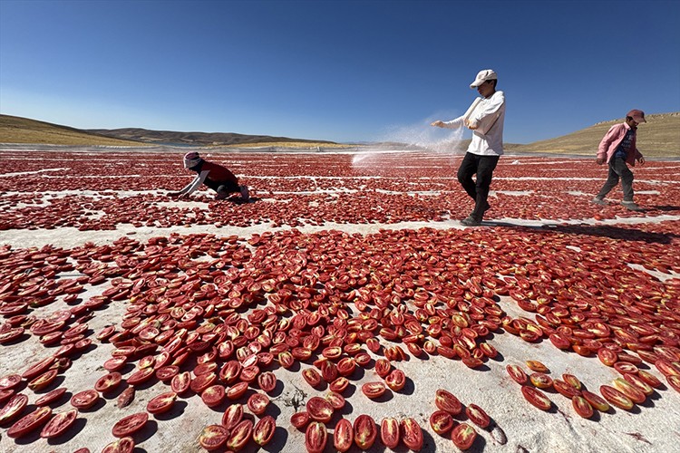 4 yılda 6 bin dönüm atıl araziyi tarıma kazandırdılar