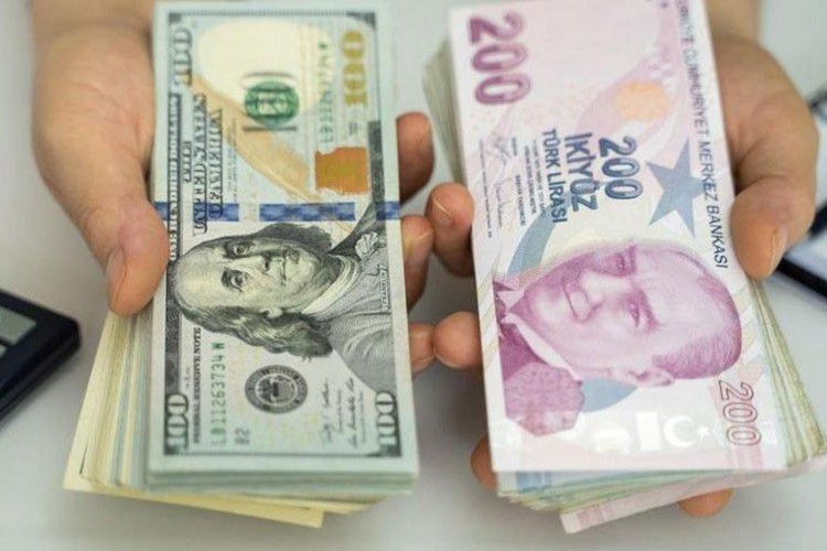 İç borçlanma, TL cinsinden yapılacak