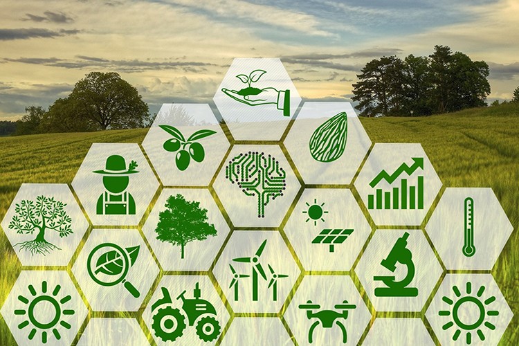 Gençlere akıllı tarım dersi