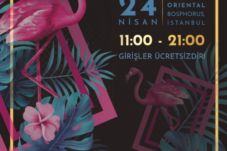 Brands and More, Alışveriş ve Eğlenceyi Bir Araya Getiriyor