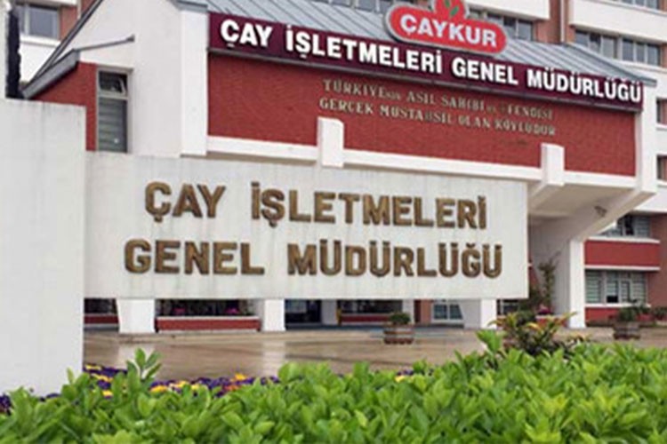 ÇAYKUR'dan 2. sürgün hasat dönemi öncesi üreticilere bilgilendirme