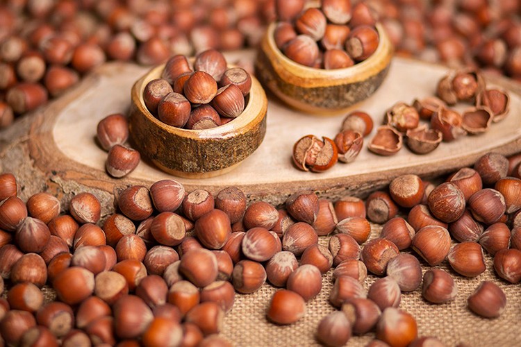 Türk fındığı Çin'deki fuarda tanıtıldı