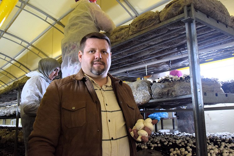 Bir yılda 100 ton kültür mantarı üretti