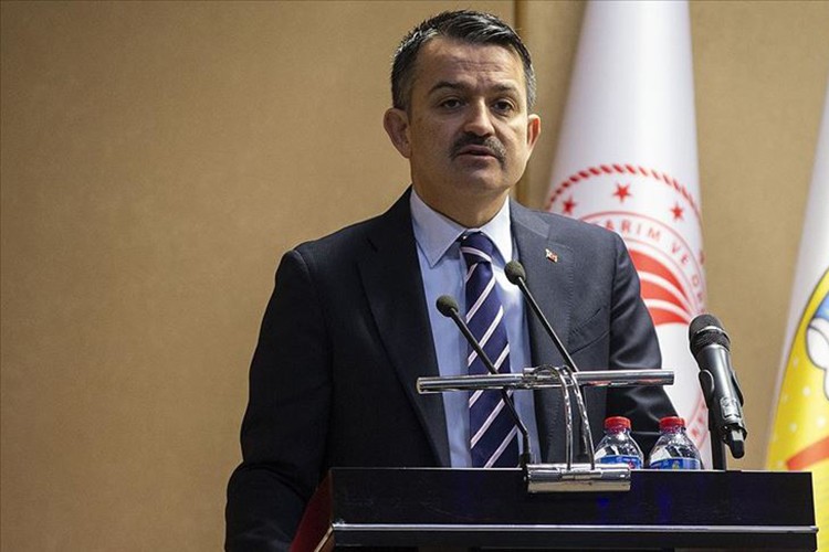 "Su kanunu çıkarılacak"