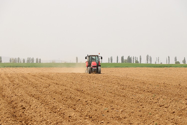 Ekim alanı genişliyor