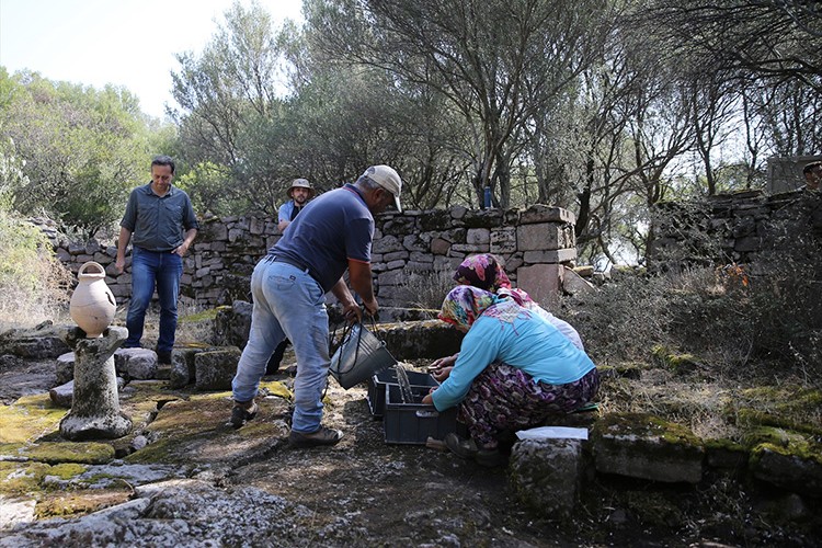 Manisa'daki antik kentin sarnıçları su topluyor