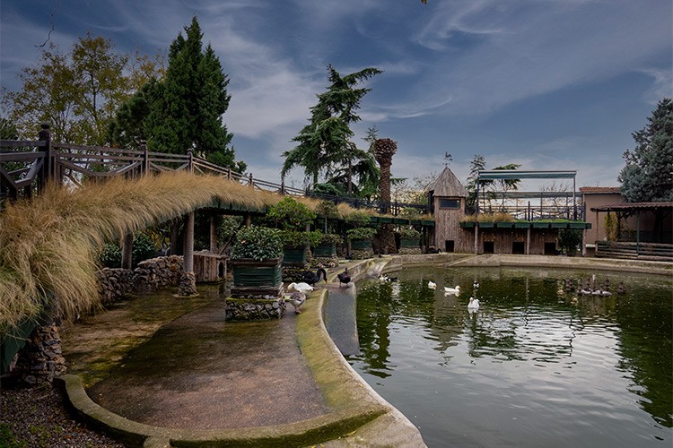 Dünya Hayvanları Koruma Günü'nde FYZoo'da Doğayla Buluşun