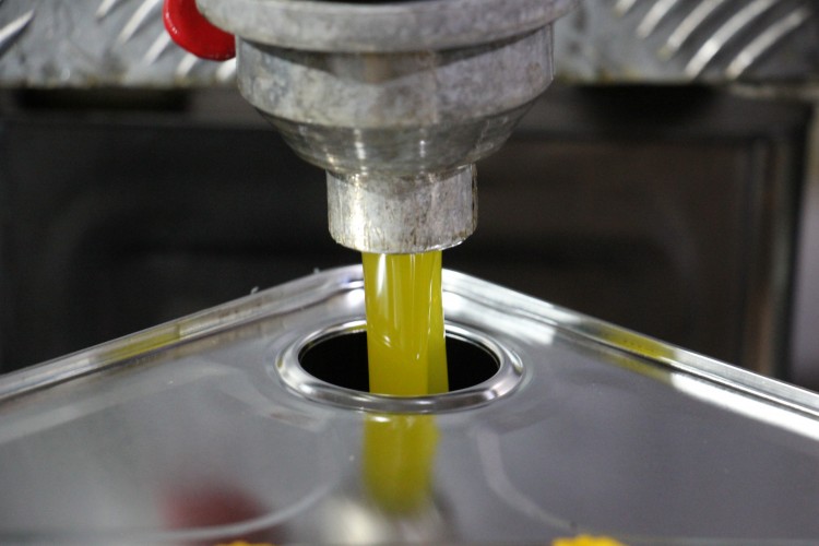 Zeytinyağında sahtecilik uyarısı