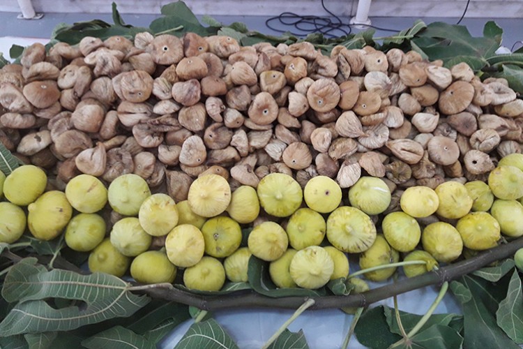 Yolculuk 26 Eylül'de