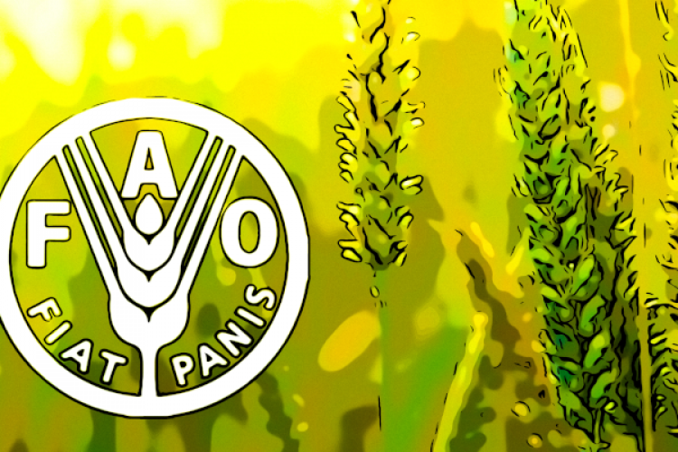 Küresel gıda fiyatları eylülde değişmedi