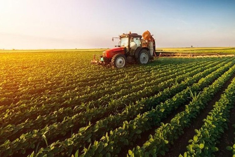 Çiftçilere destek ödemeleri başladı