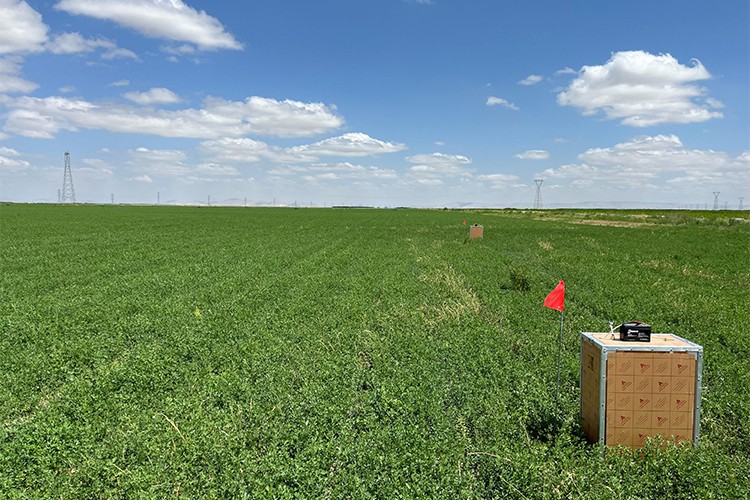 Tarımda Örnek Karbon Kredisi Programı